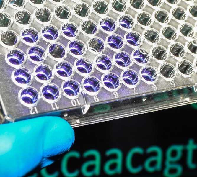 bioinformatics-667x600.jpg