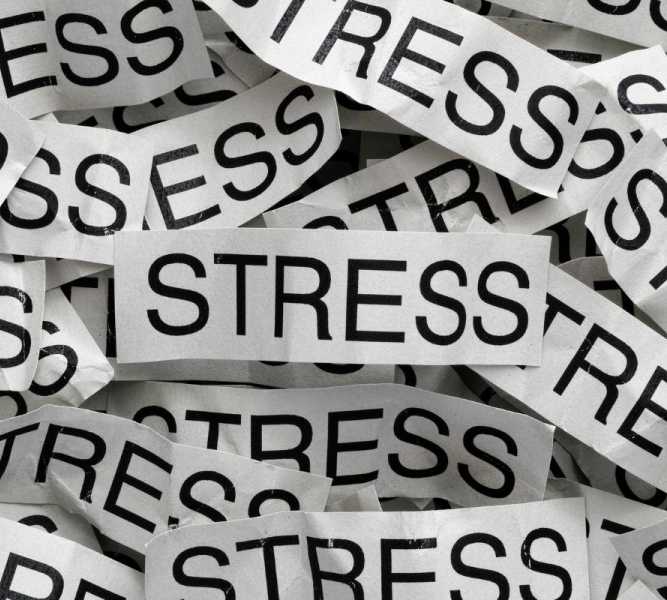 mini-programme-on-emotion-and-stress-regulation-667x600.jpg