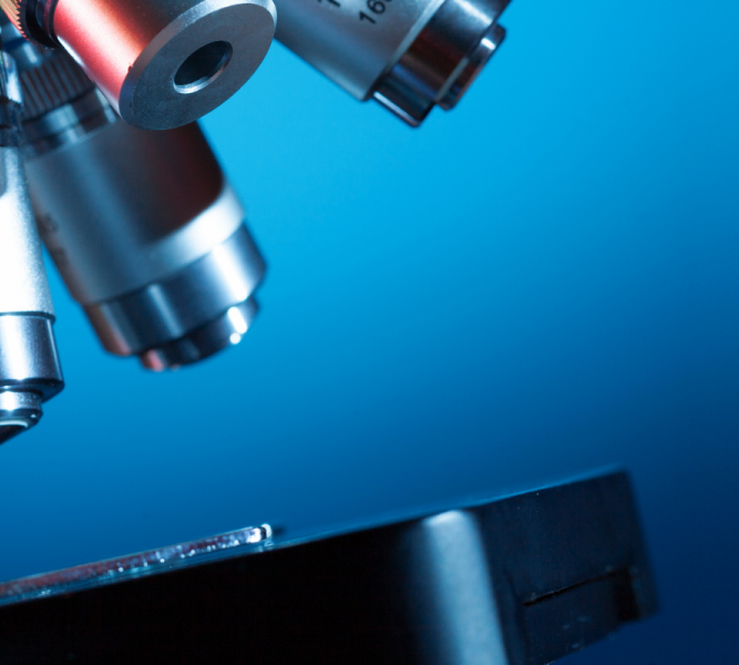 header-stm-2022-afm-biomed-summer-school-2022-667x600.png
